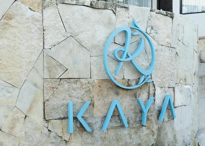 Kaya